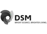 DSM
